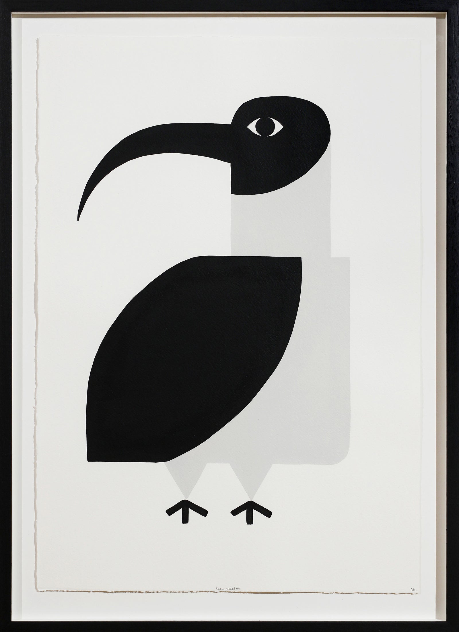 Edan Azzopardi | Straw-necked ibis