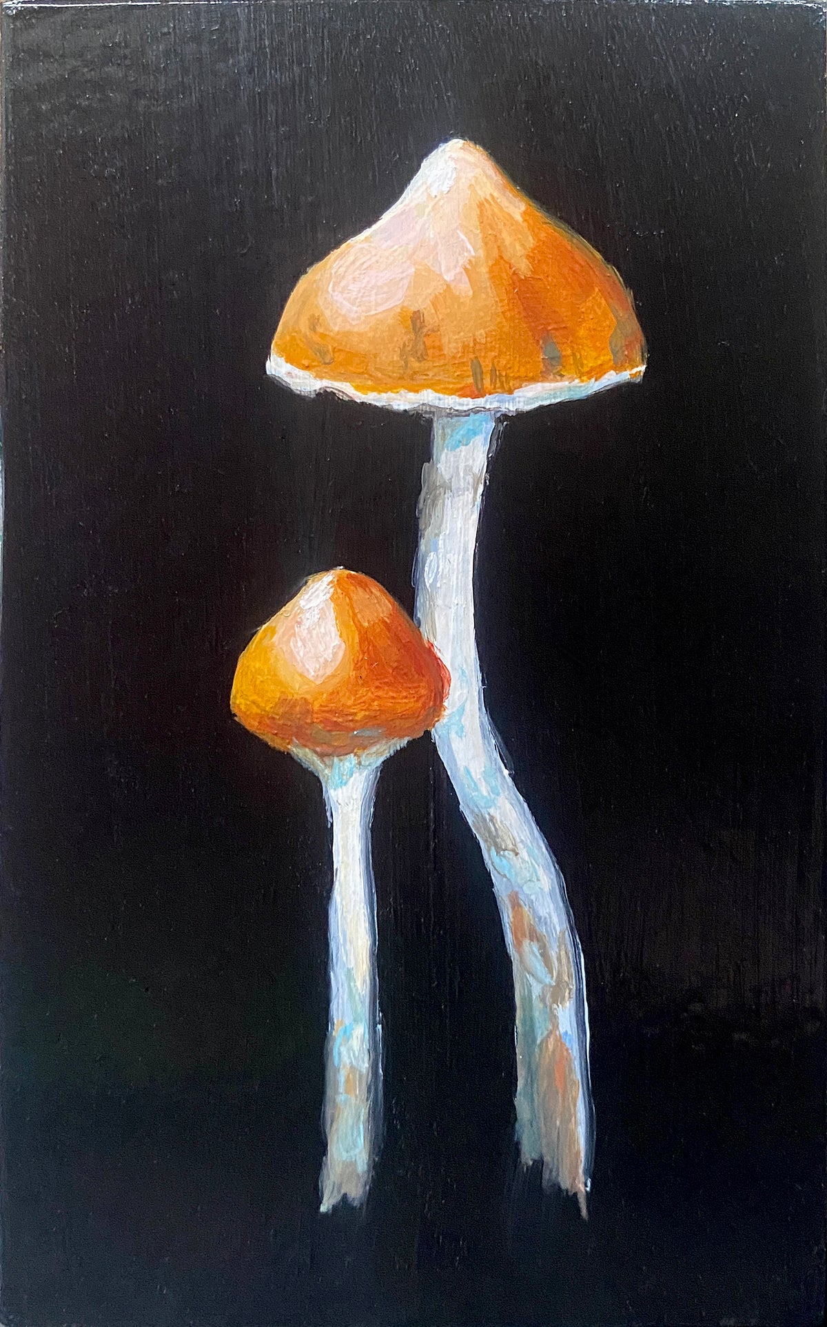 Tracie MacVean | Sub Miniature II