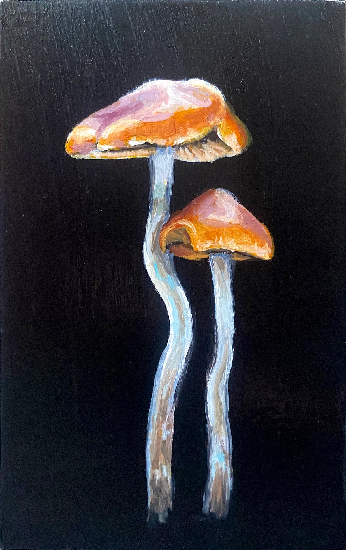 Tracie MacVean | Sub Miniature I