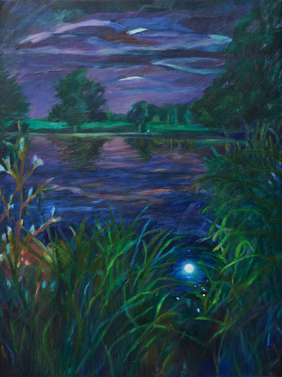 Vanessa Rowe | Submerged