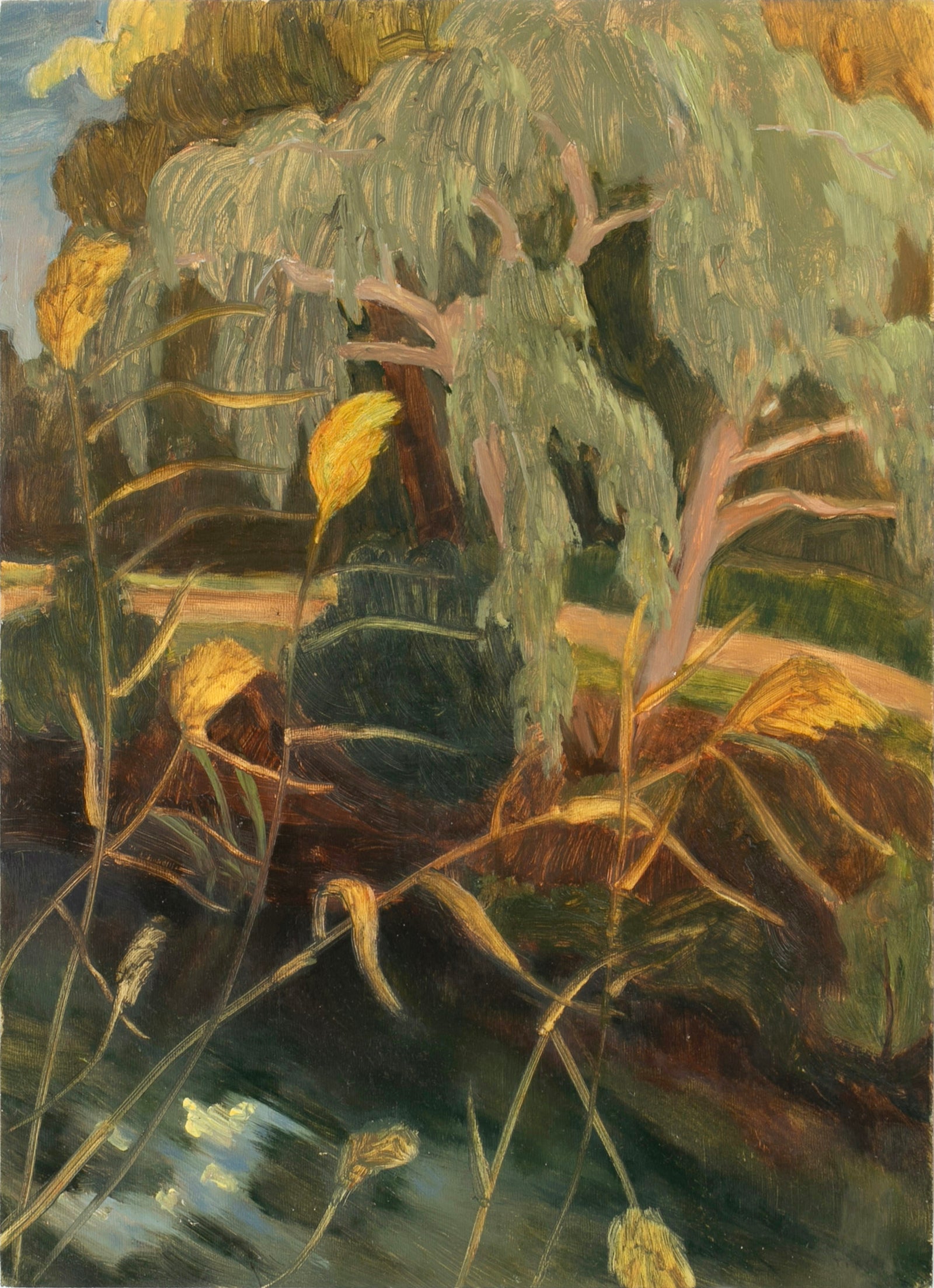 Jessie Rose Ford | Sun Shine on a Rainy Day (Coburg North)