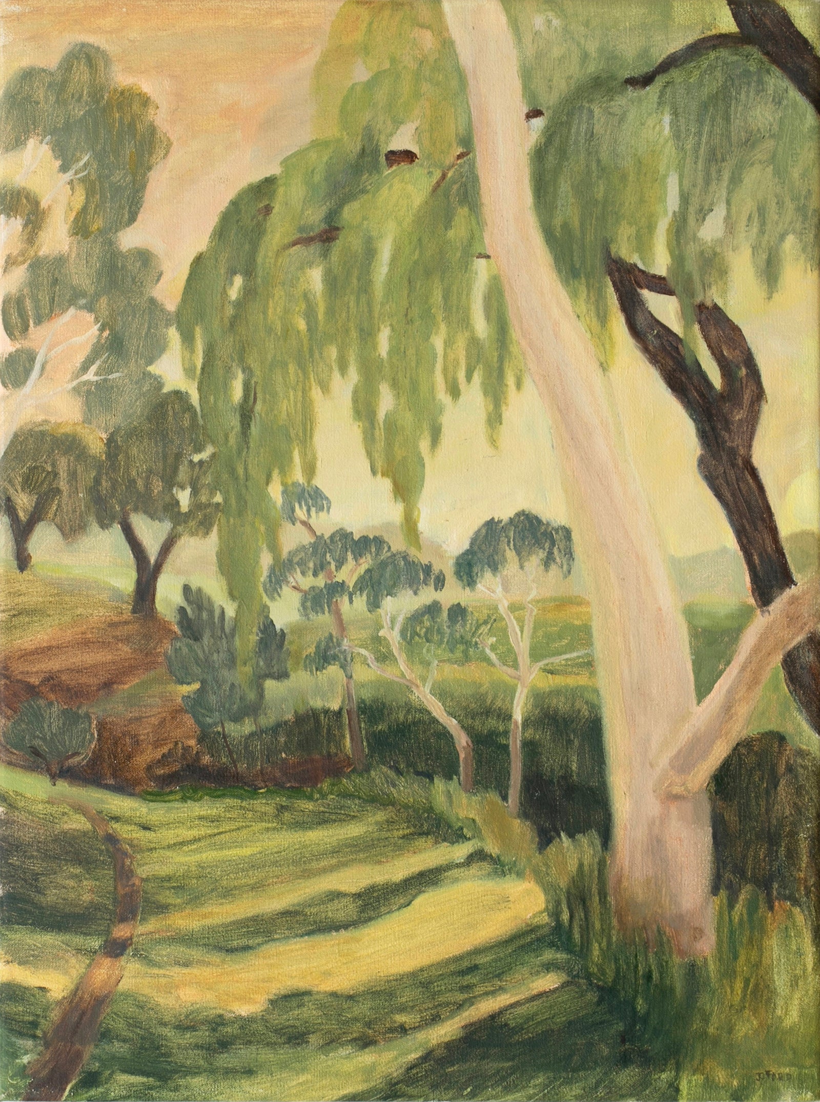 Jessie Rose Ford | Sun, Shadow, Sun, Willow (Coburg Lake)