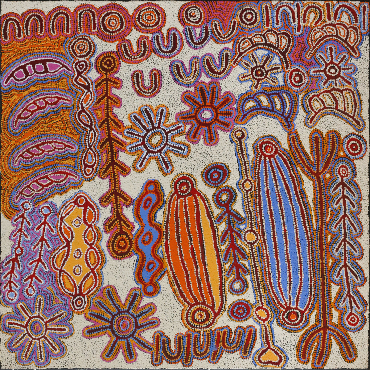 Susie Nangala Watson | Mina Mina Jukurrpa (Mina Mina Dreaming) 3471/25