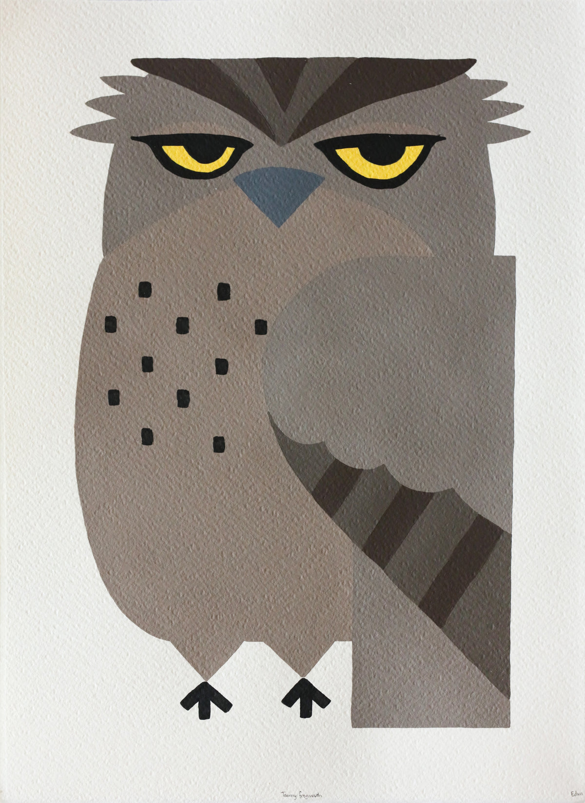 Edan Azzopardi | Tawny Frogmouth