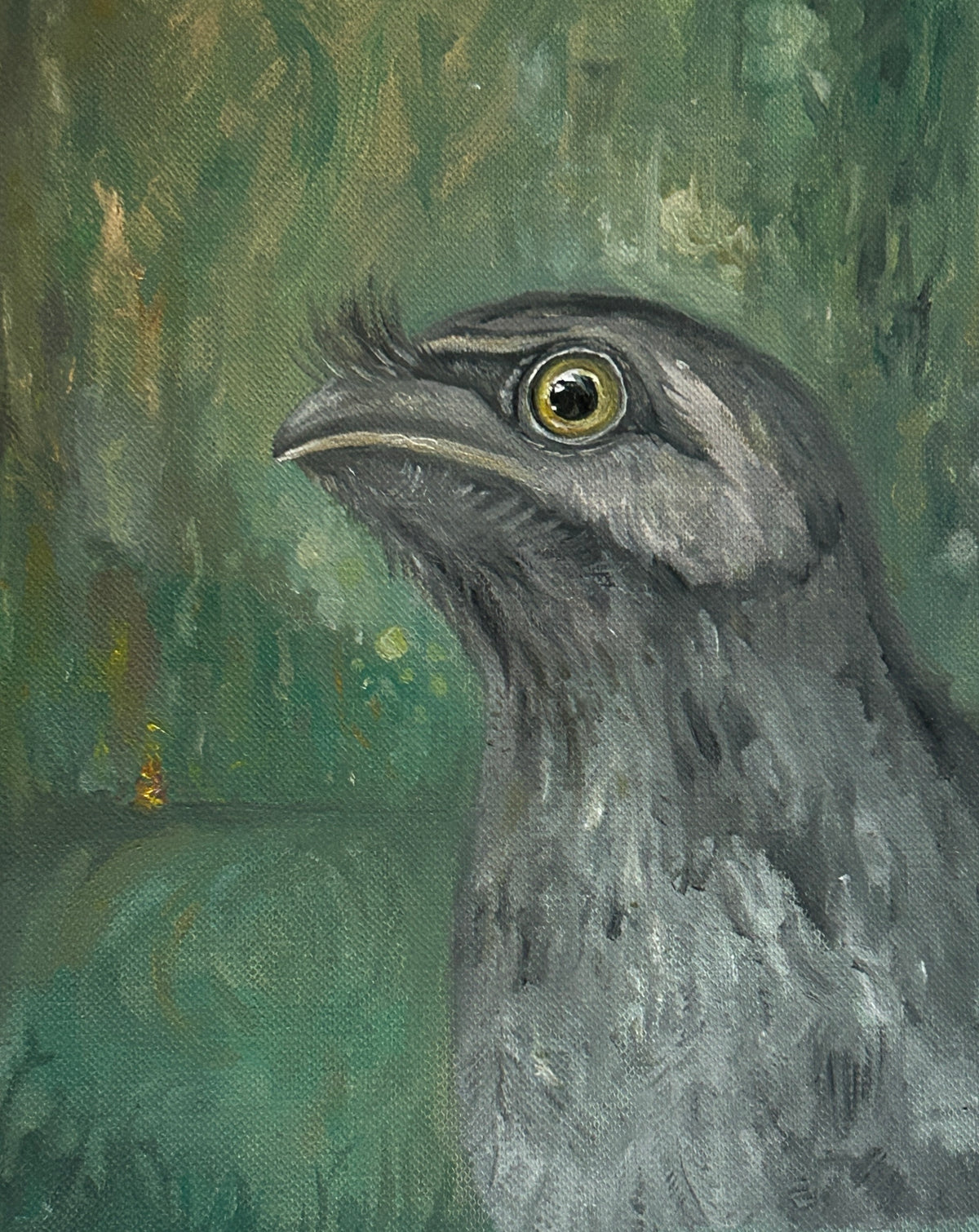 Lana Eileen | The Frogmouth’s Premonition