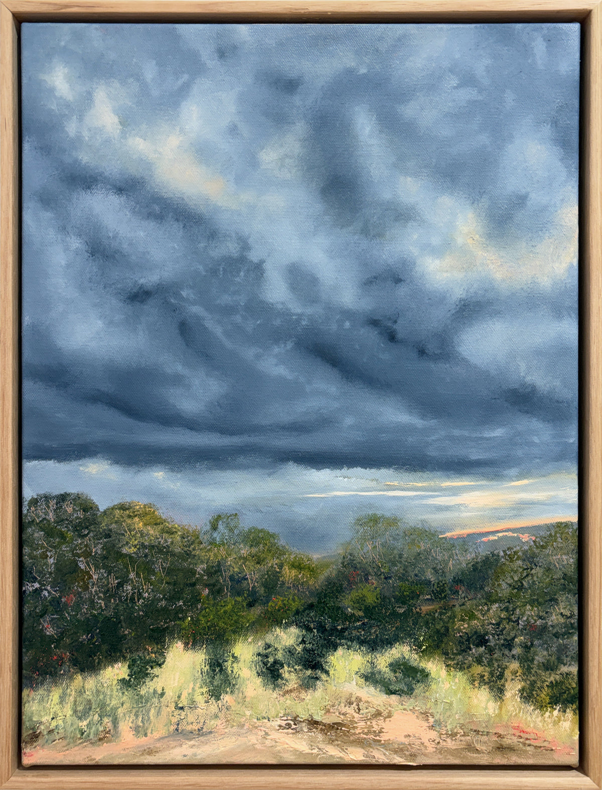 Allison Taplin | The Woolly Track