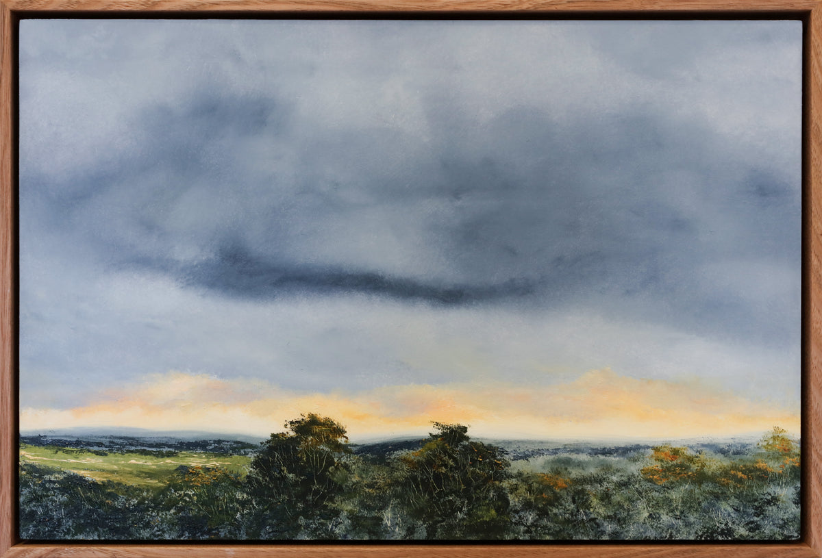 Allison Taplin | The Earth, The Sky and Us