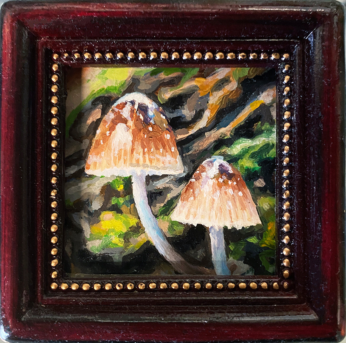 Tracie MacVean | Tiny Mycena
