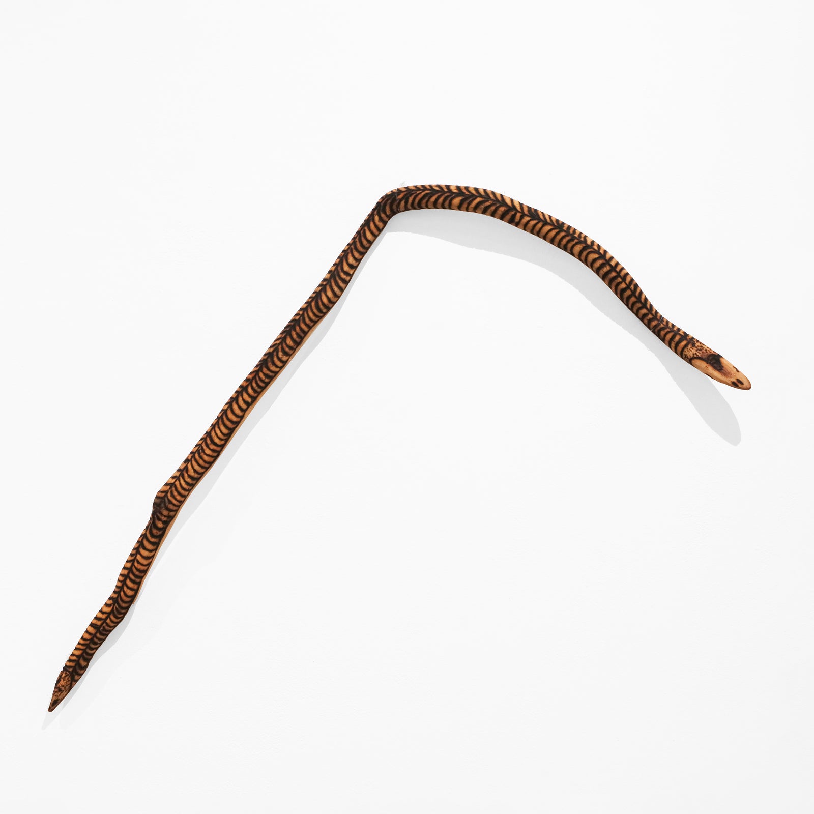 Tjala Arts | Wanampi Punu Carving 109-25