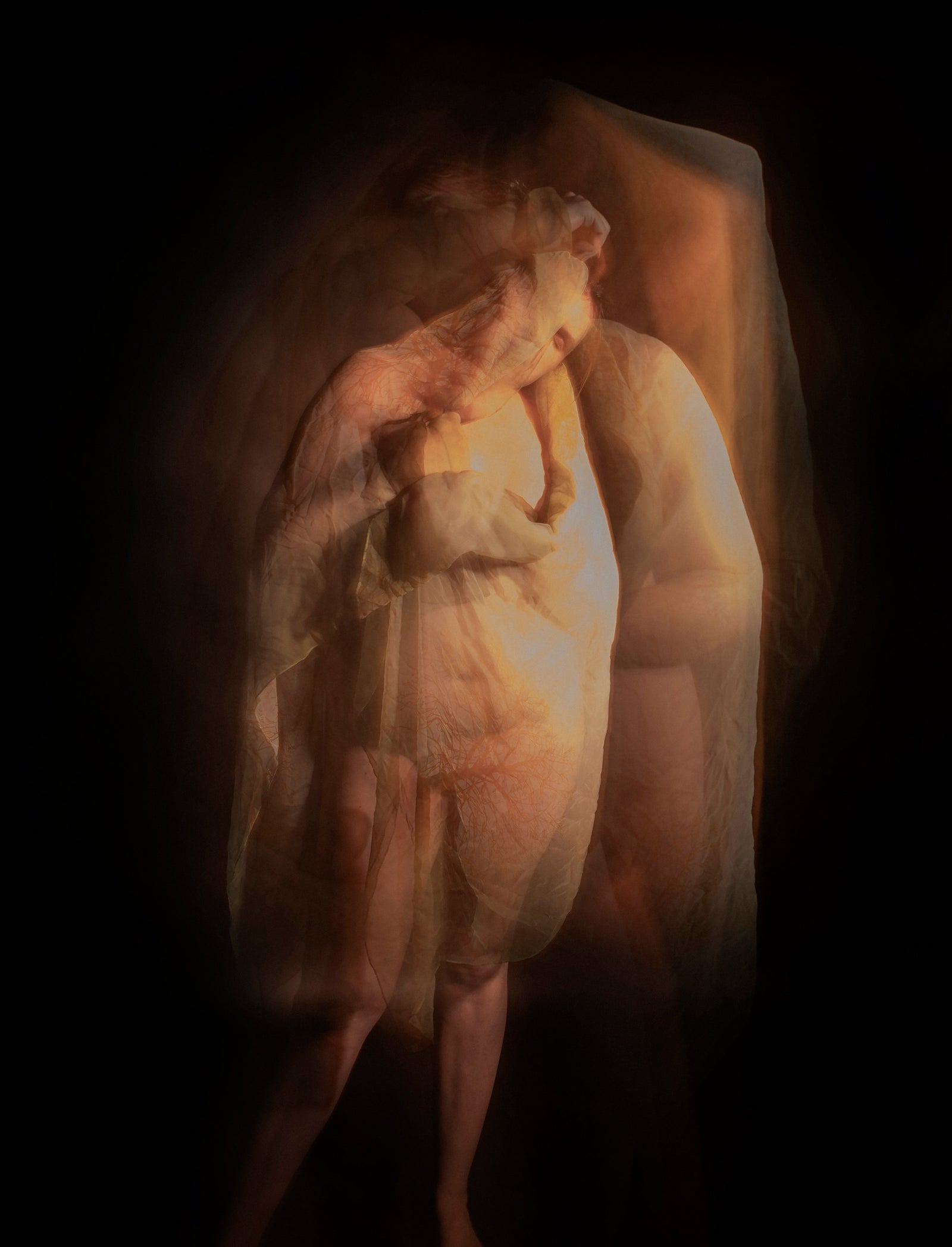 Tanya Clark | Untitled 5 (Disembodied Series - Ongoing)