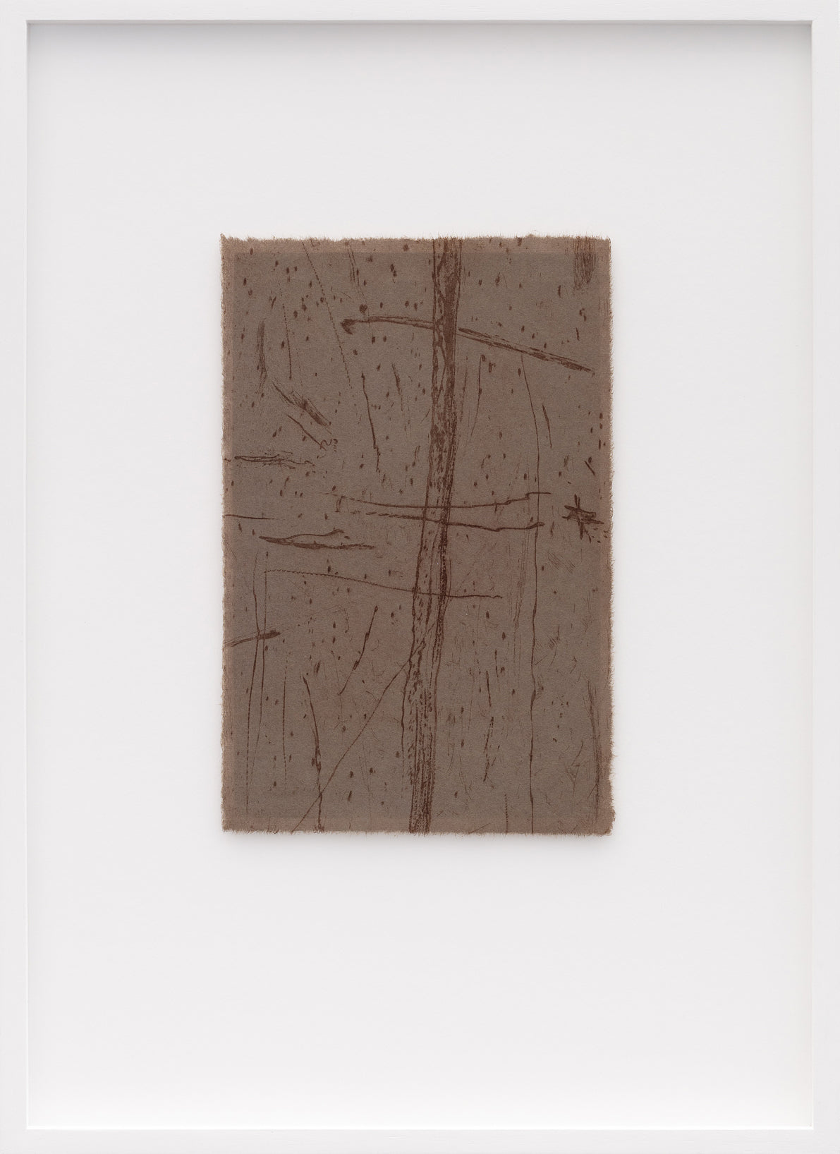 Cecilia Jacobs | Untitled