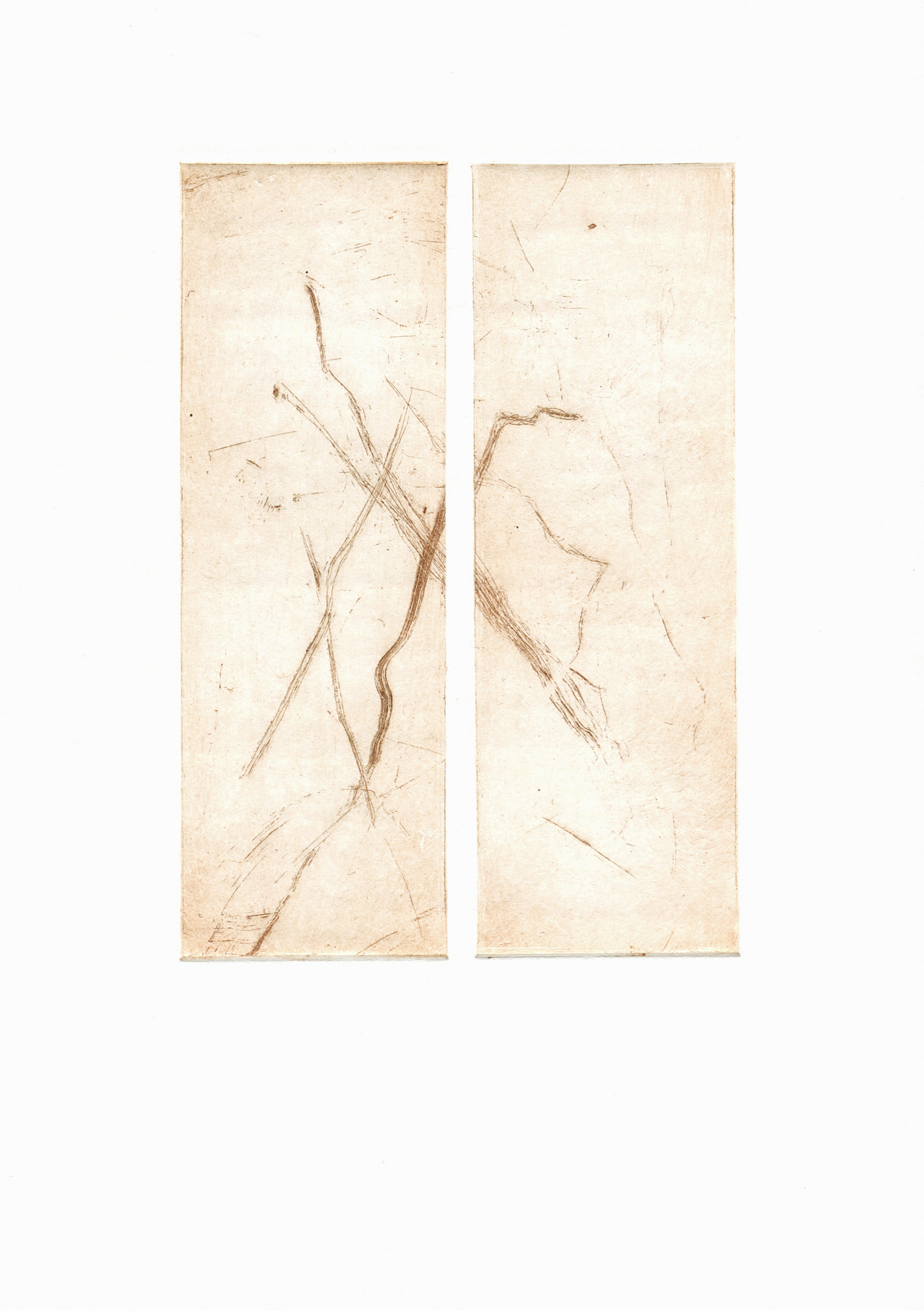 Cecilia Jacobs | Untitled (diptych)