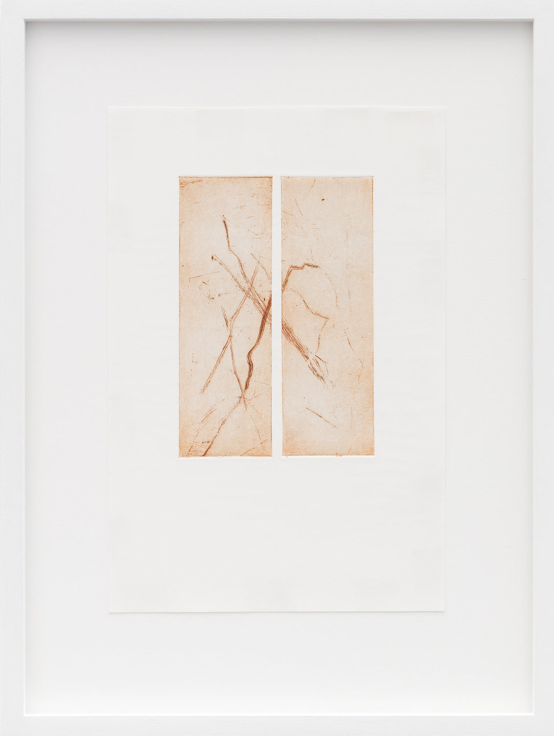 Cecilia Jacobs | Untitled (diptych)