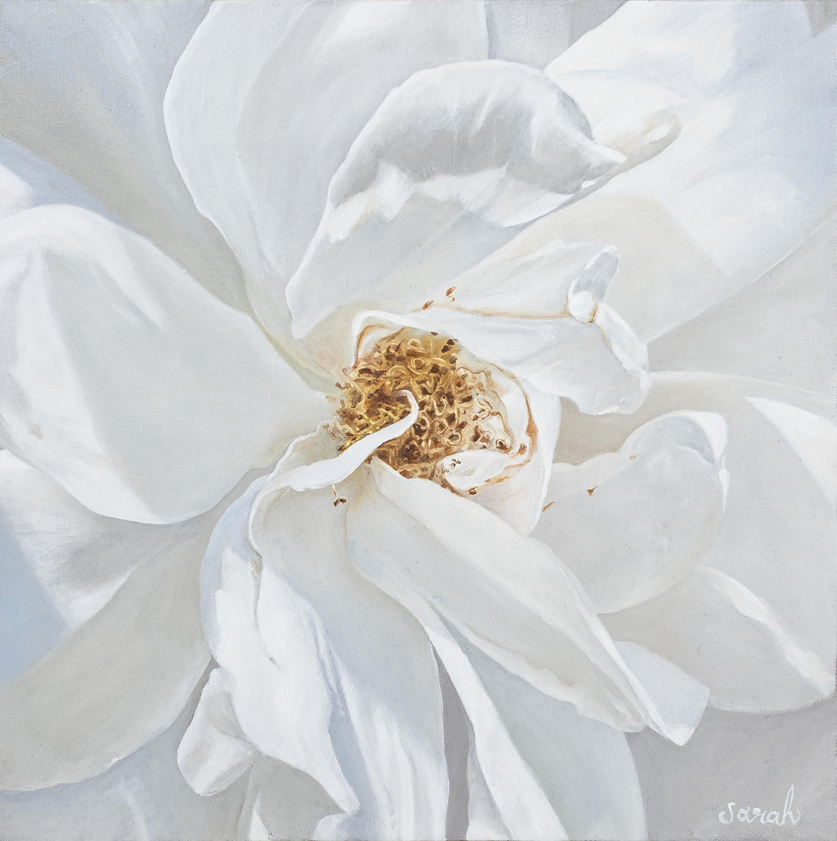 Sarah Blatchford | Veins of light