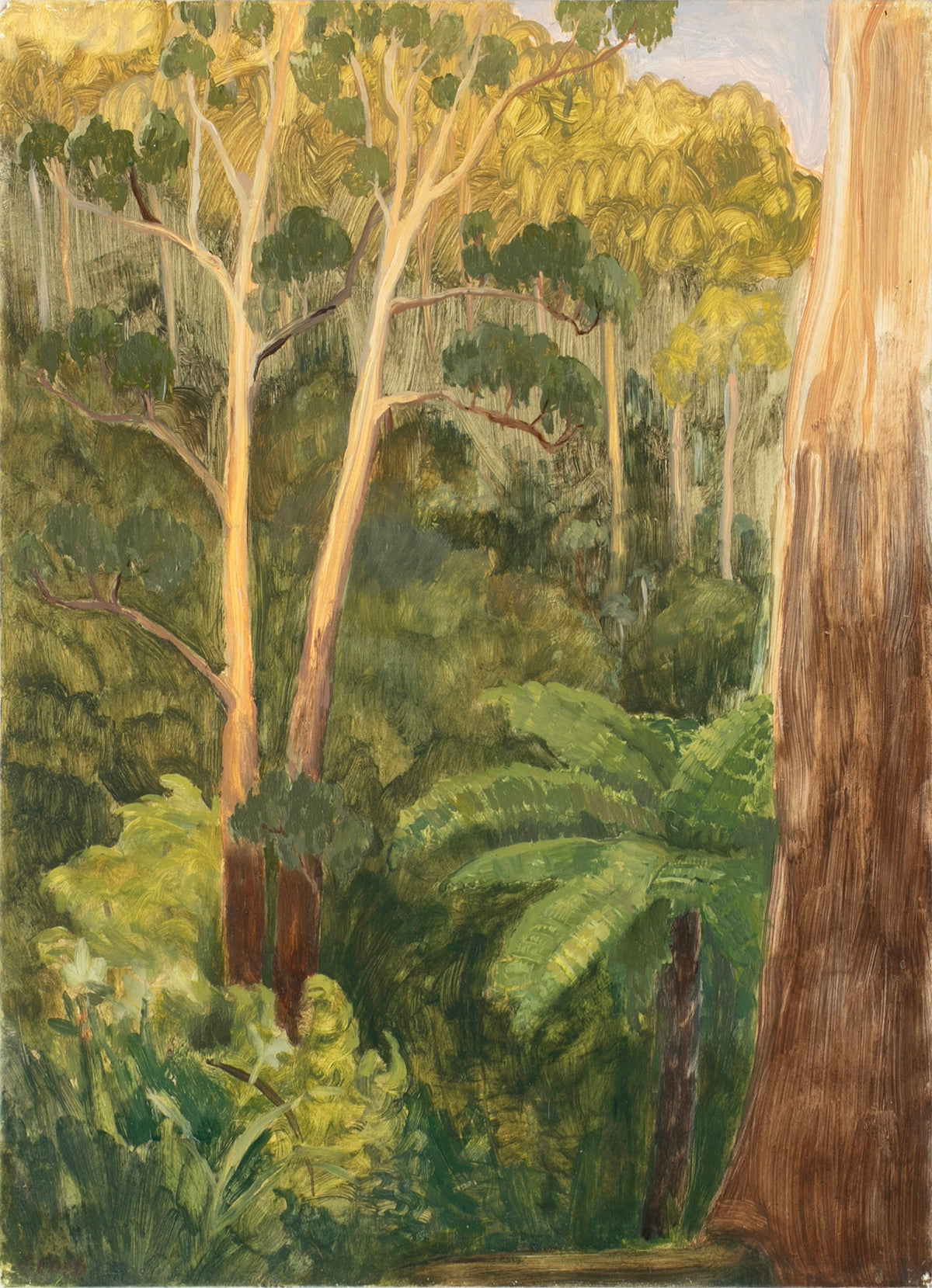 Jessie Rose Ford | View From The Edge of the Path to Sherbrooke Falls