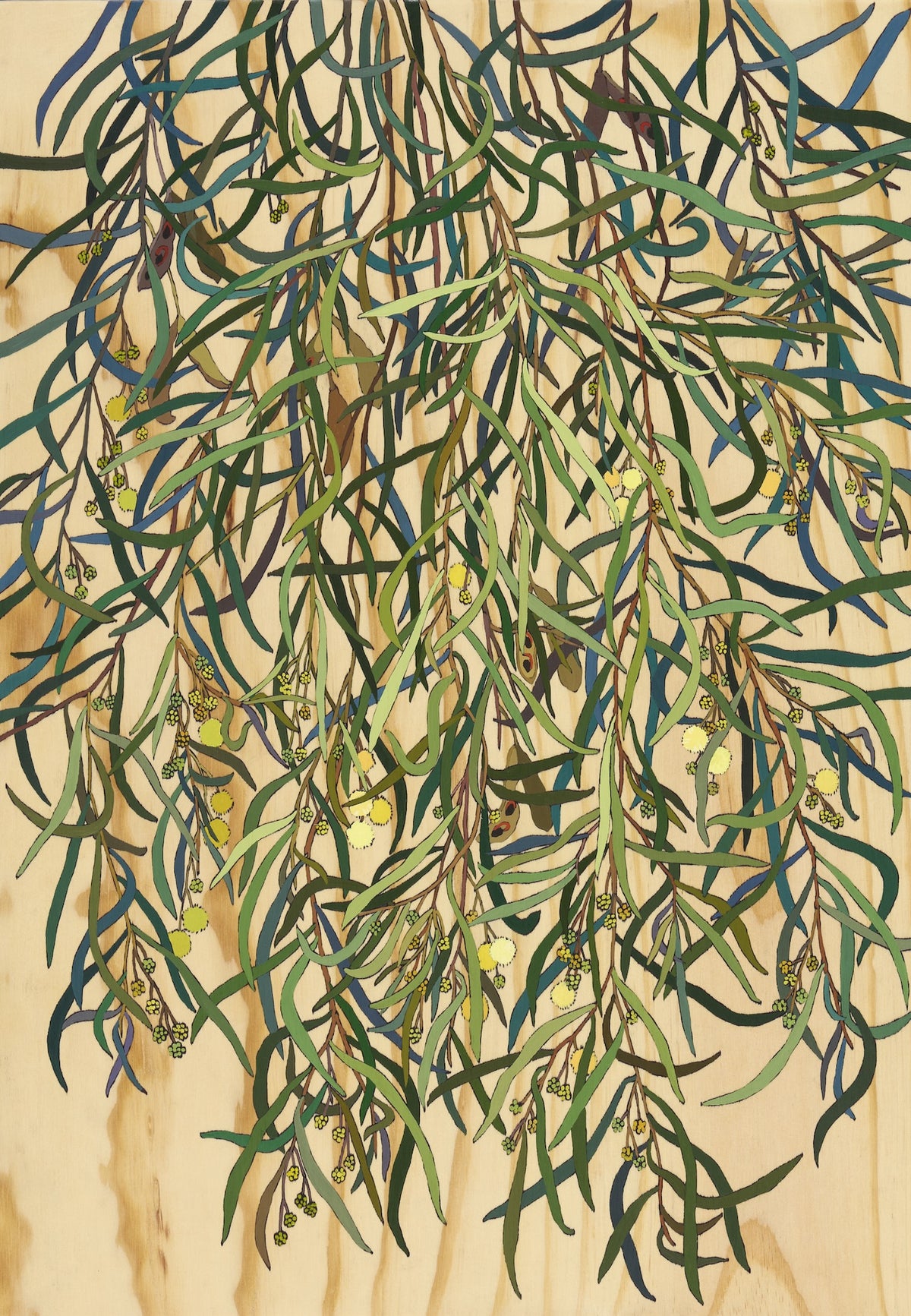 Irina Nazarova | Water Wattle