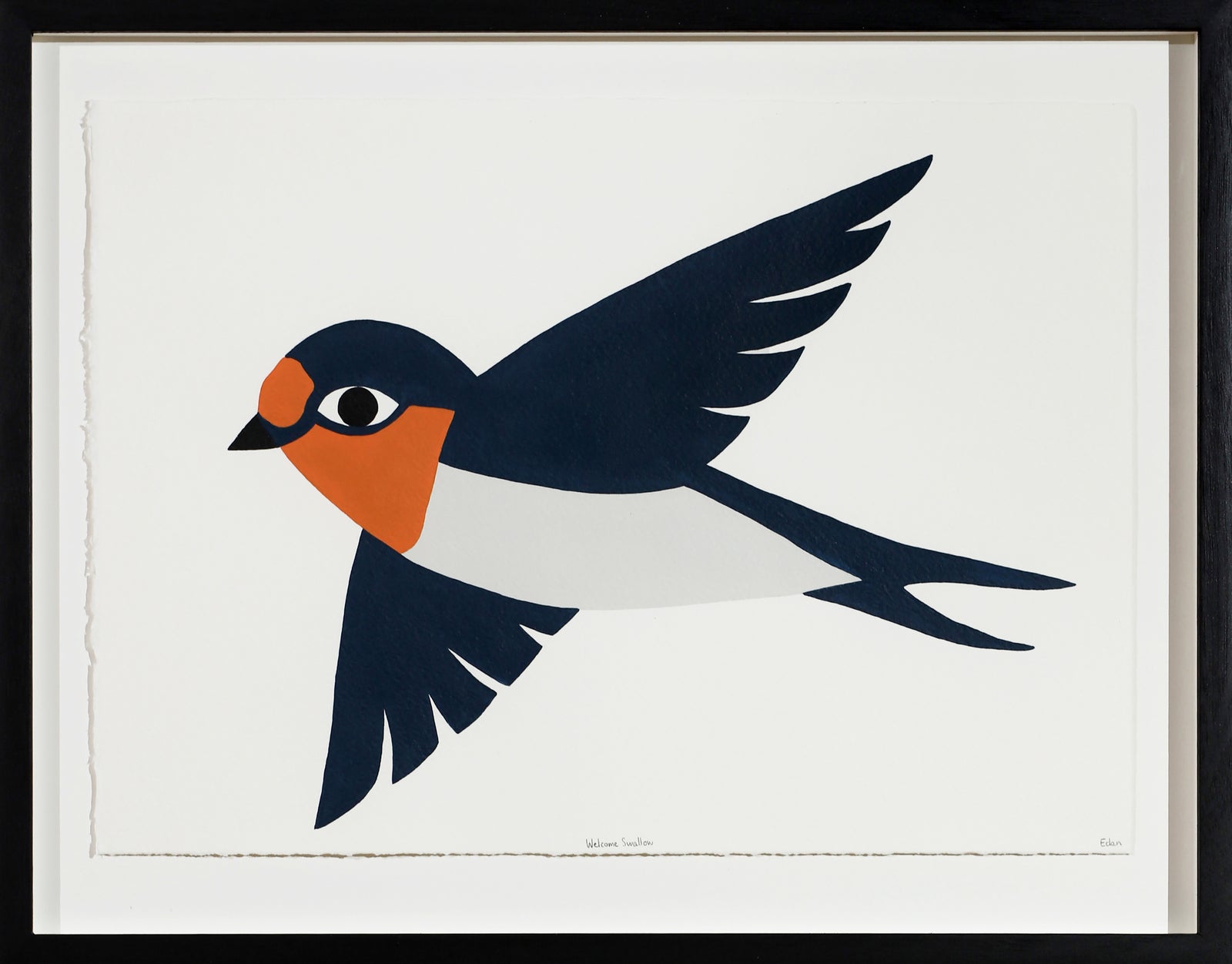 Edan Azzopardi | Welcome Swallow - Flying