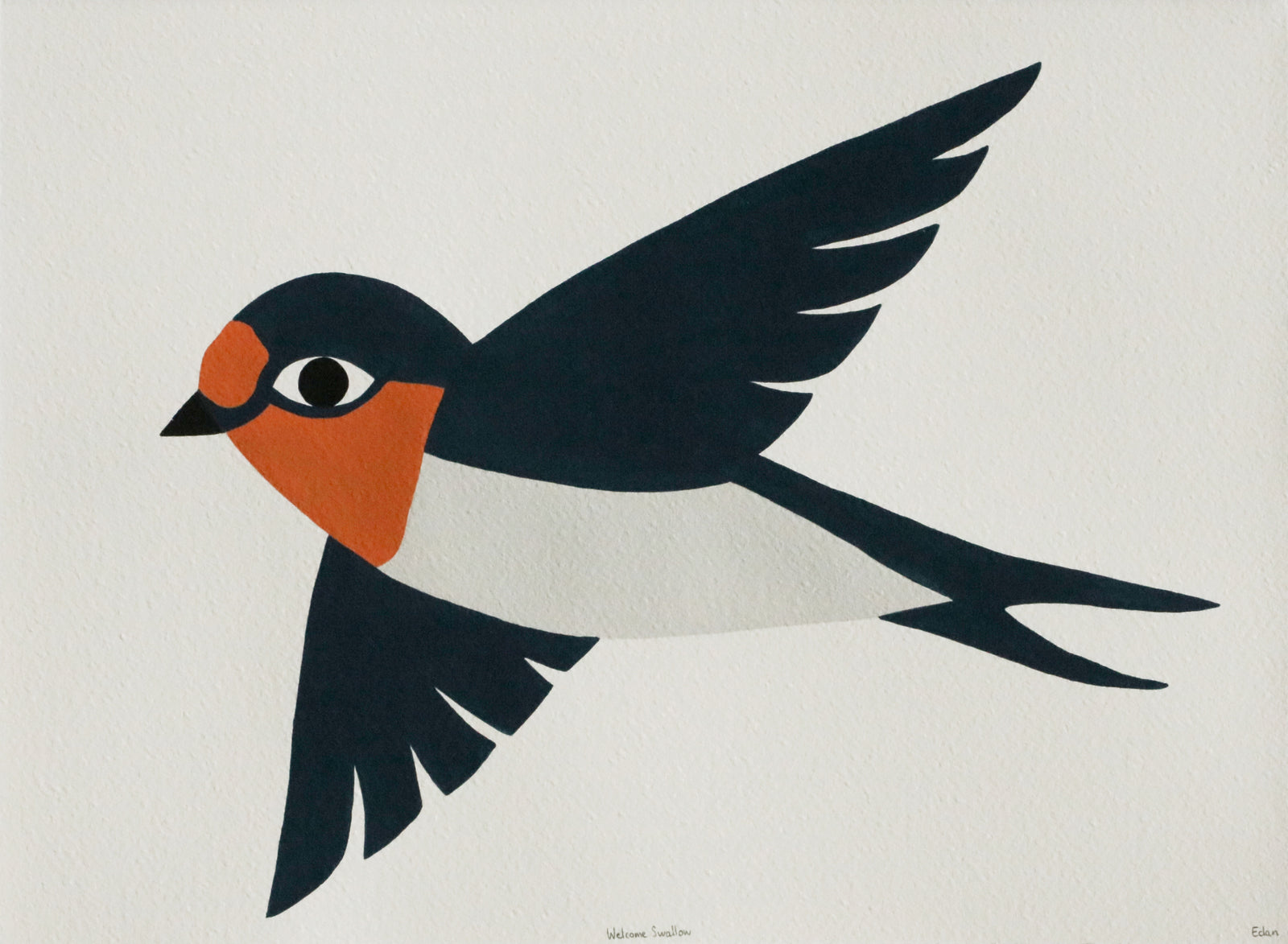 Edan Azzopardi | Welcome Swallow - Flying