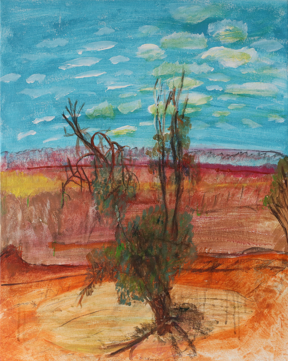 Wendy Hubert | Dry Country 24-145