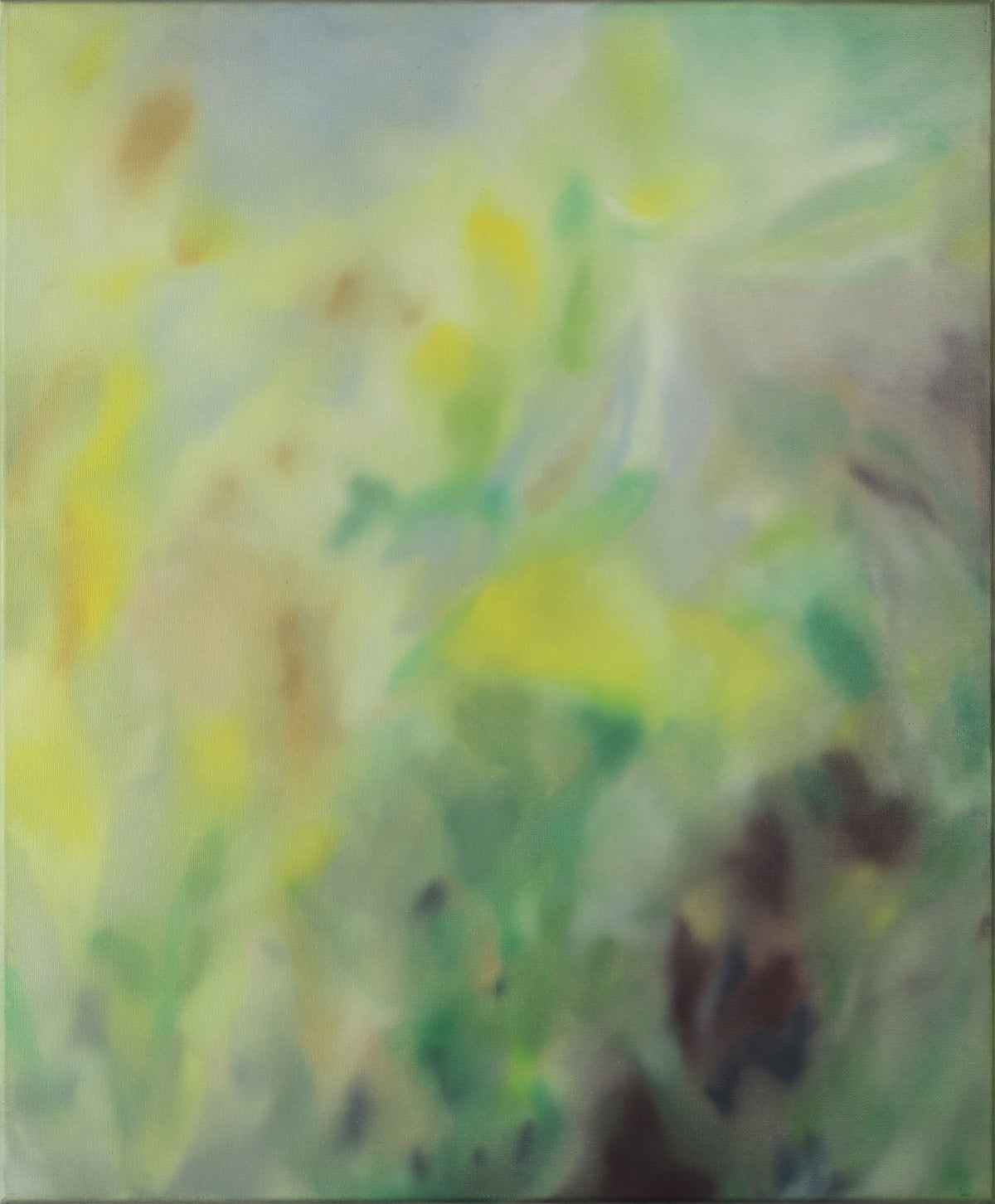 Andrea Shaw | Where Sunlight Touches