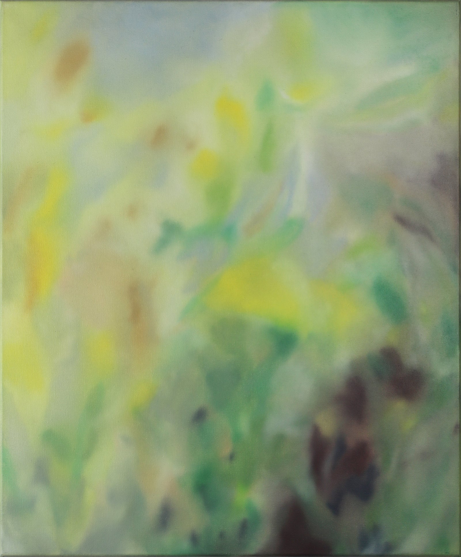 Andrea Shaw | Where Sunlight Touches