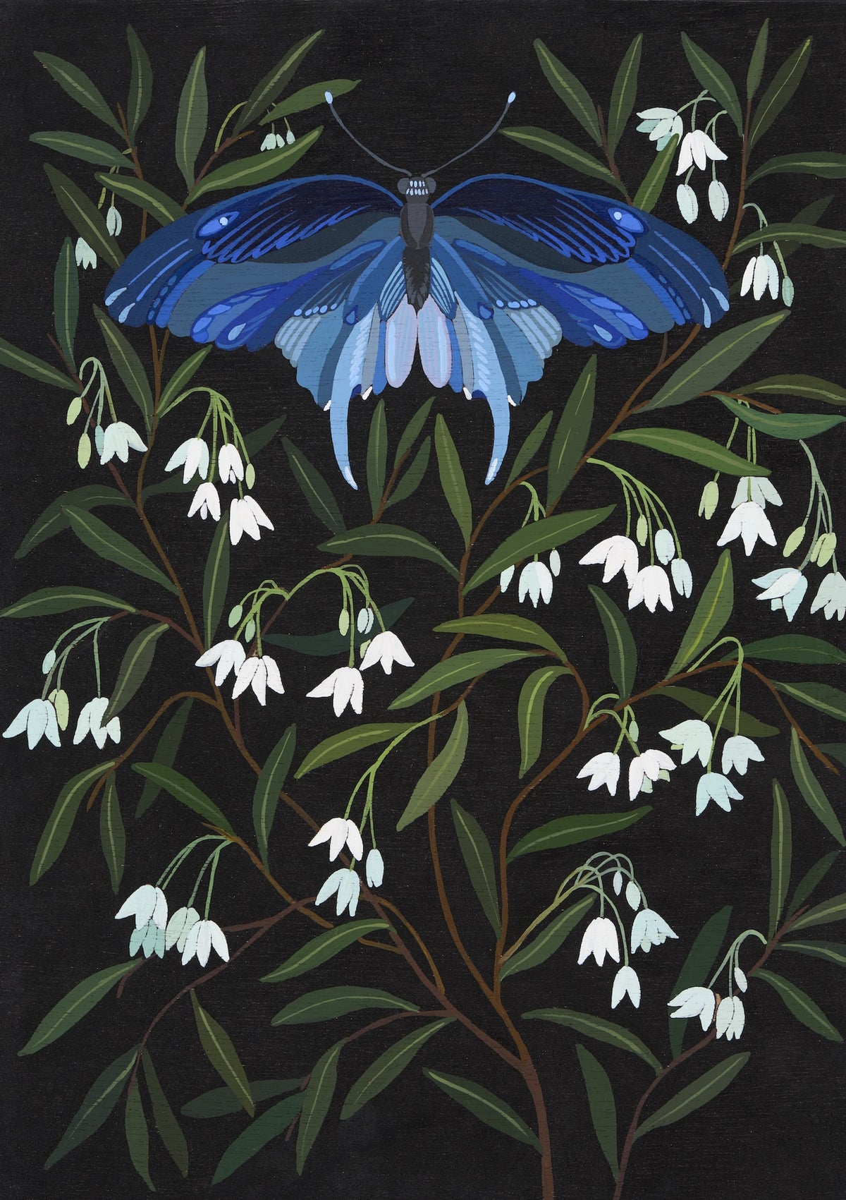 Irina Nazarova | White bluebells