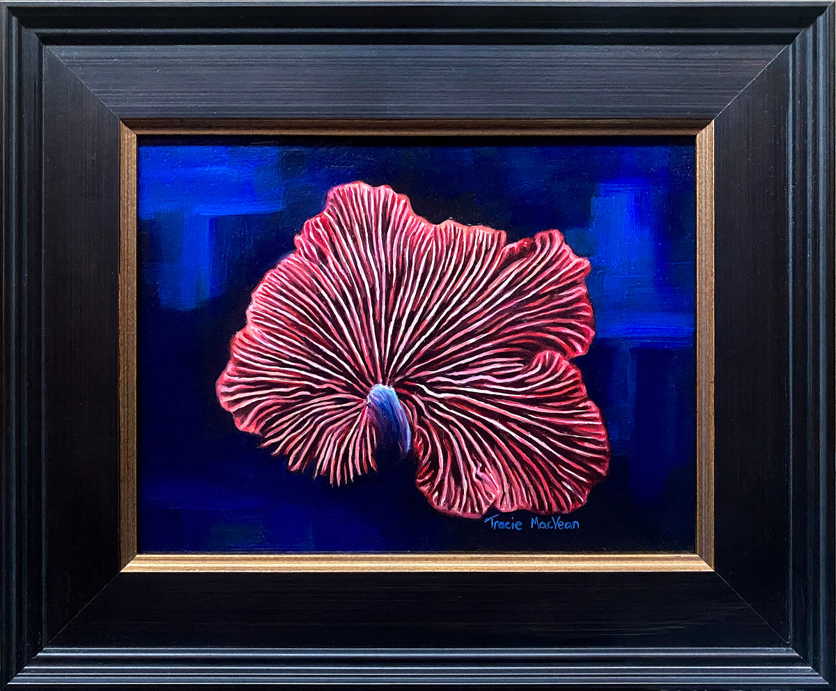 Tracie MacVean | Wood Oysterling
