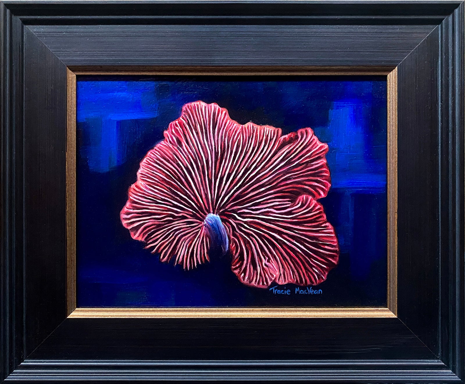 Tracie MacVean | Wood Oysterling
