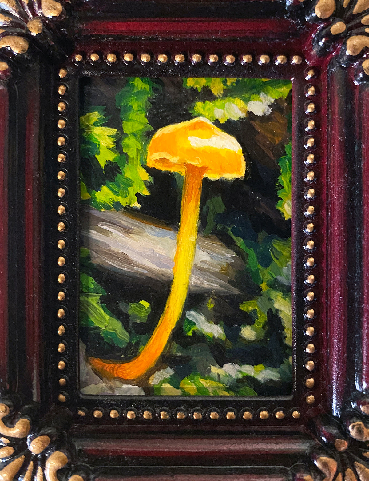 Tracie MacVean | Yellow Hygrocybe I
