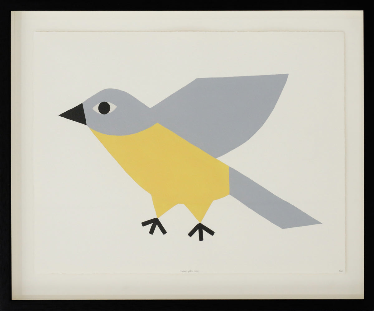 Edan Azzopardi | Flying Yellow Robin