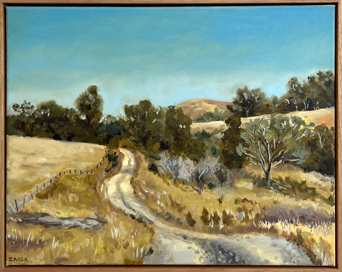 Zaiga Finnis | Chris's driveway