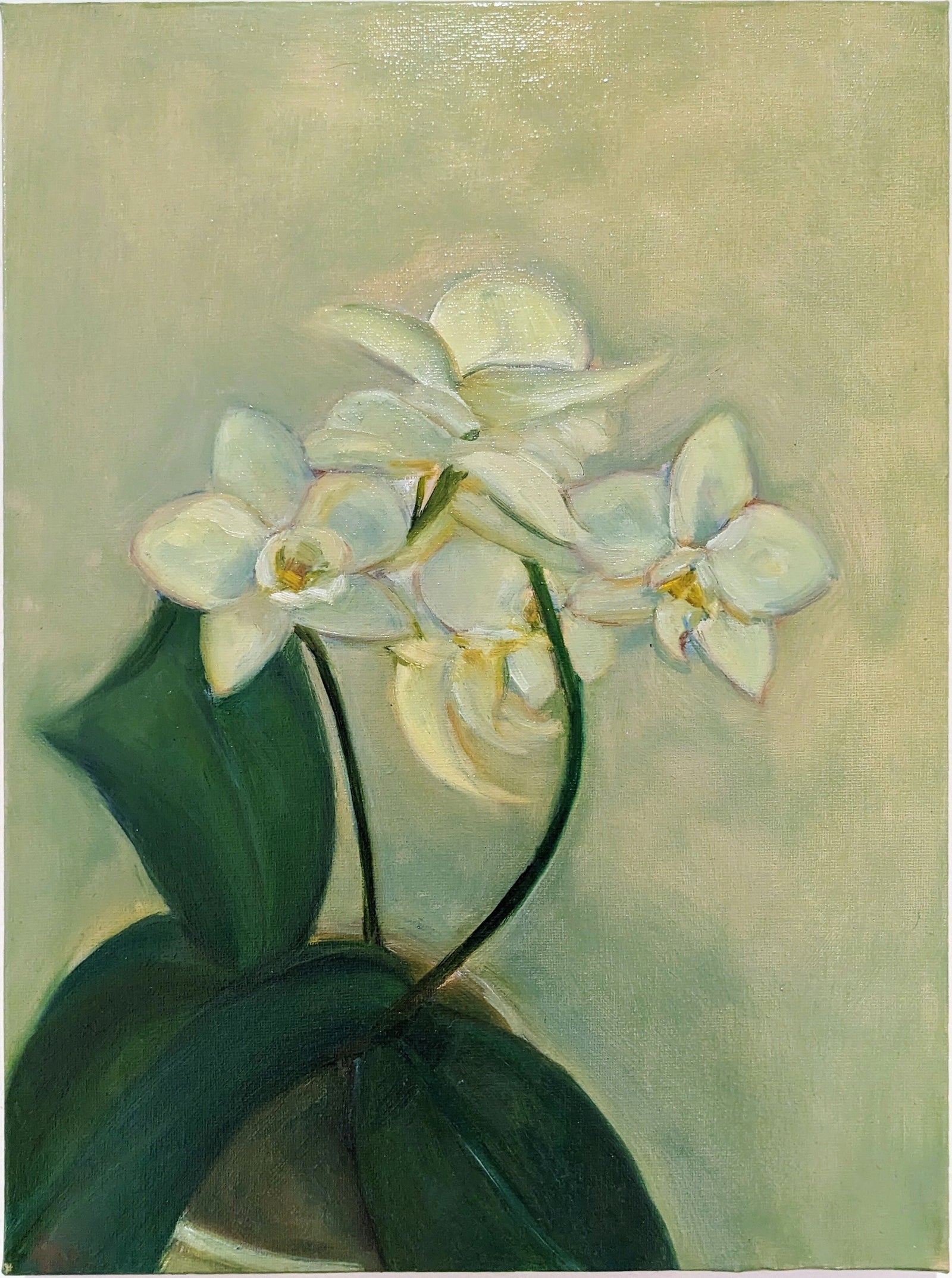 Florence Wang | orchid no.2