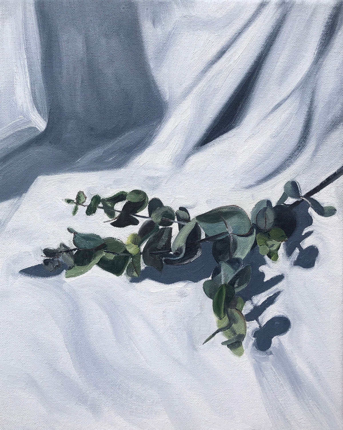 Georgia Pricone | Eucalypt Study I