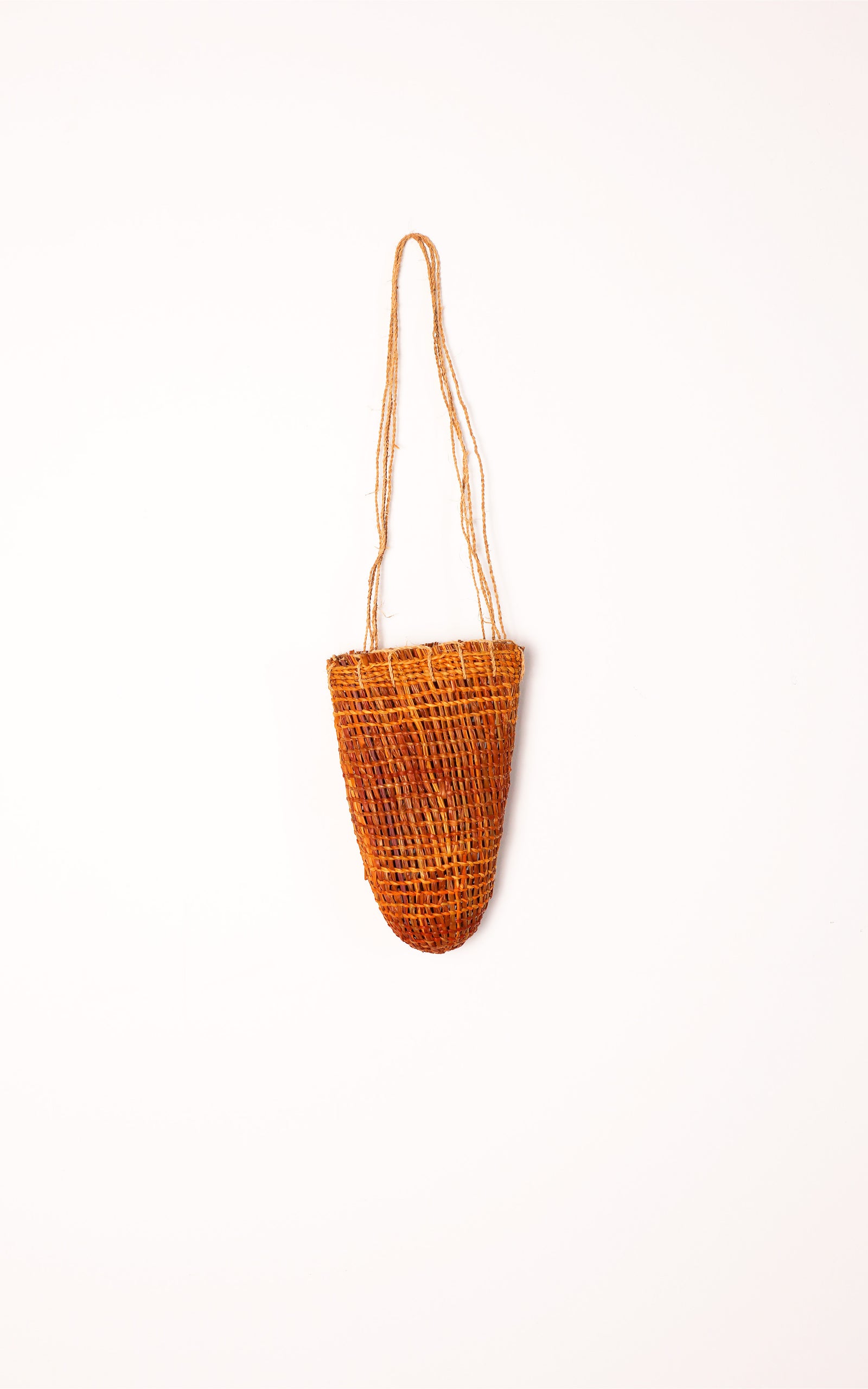 Lorna Jin-gubarragunyja | Burlupurr, dillybag 50-23