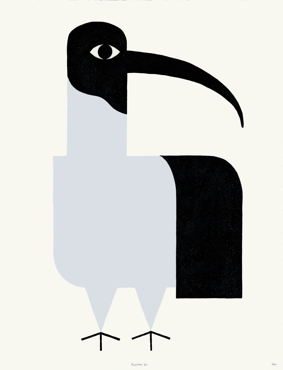 Edan Azzopardi | AUSTRALIAN IBIS
